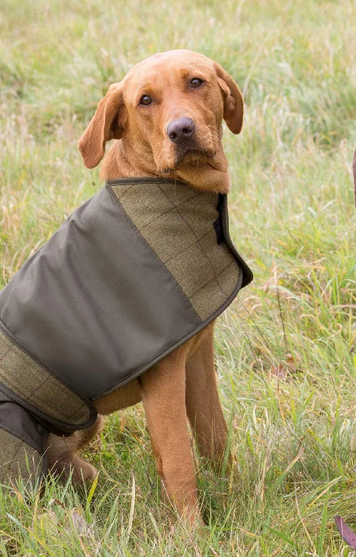 ladies' lightweight anorak coat -Alan Paine Tweed Dog Coat